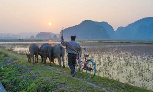 Hòa mình vào vùng quê ở Ninh Bình: Du khách Noodlequeen kể trải nghiệm tuyệt vời nhất trong 2 tuần đến Việt Nam du lịch là khi ở Ninh Bình. Noodlequeen đạp xe khám phá làng mạc, lắng nghe tiếng chim hót, tiếp xúc và tìm hiểu cuộc sống của những người nông dân. Khung cảnh ngoạn mục của những ngọn núi đá vôi giống như đang ở Hạ Long, nhưng bên dưới là cánh đồng lúa xanh mướt dập dờn theo gió khiến du khách này thấy thanh thản và có cảm giác giống như đang ở chốn thiên đường. Ảnh: Noodlequeen.