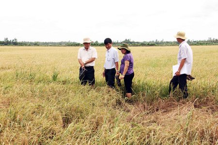 Nỗ lực phòng hạn, mặn mùa khô