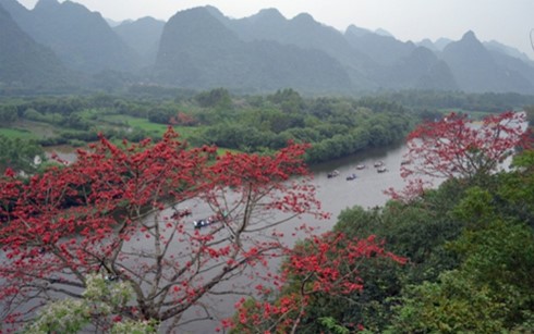 Cảnh đẹp suối Yến.