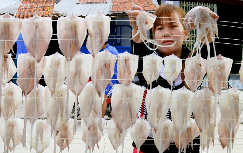 Người dân trên đảo sinh sống chủ yếu bằng nghề đánh bắt, nuôi trồng hải sản, sơ chế mực, cá cơm khô...