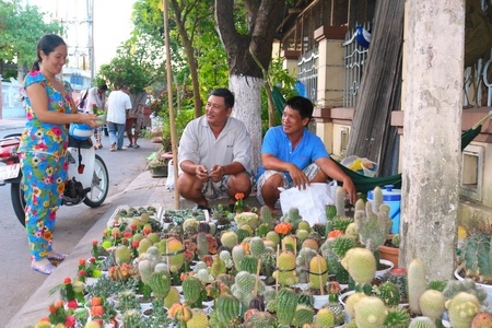 Người dân phấn khởi chọn mua hoa cận tết