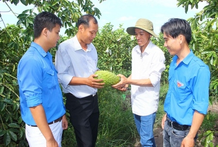 Thanh niên làm ăn hiệu quả góp phần phát triển kinh tế địa phương.