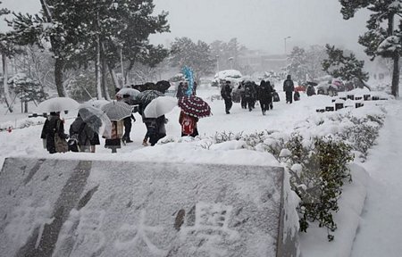 Tuyết rơi dày đăc trên tuyến đường ở Niigata ngày 14/1. (Nguồn: AFP/TTXVN)