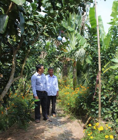 Ông Tám Trong dẫn chúng tôi đi một vòng điểm du lịch sinh thái của ông nằm trong “Làng du lịch cộng đồng cù lao Mây”.