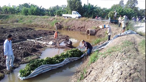 Chiếc xuồng bằng tấm bạt mũ rất độc đáo.