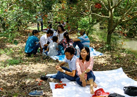  Cảm giác được ngồi dưới những tán cây, hái trái, ăn tận gốc như thế này thì chỉ có thể diễn tả bằng hai từ “tuyệt vời”.