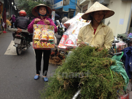 Cô Vũ Thị Lãng, Lệ Chi, Gia Lâm cho biết, tắm nước mùi già là một trong những phong tục truyền thống được nhiều gia đình Hà Nội lưu giữ trong dịp đón Xuân mới. (Ảnh: Linh Chi/Vietnam+)