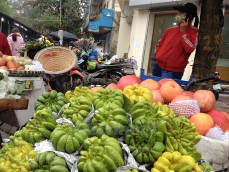 Phật thủ, loại quả quý được nhiều người Hà Nội yêu thích trưng bày trên các mâm quả cúng lễ Tết. (Ảnh: Linh Chi/Vietnam+)