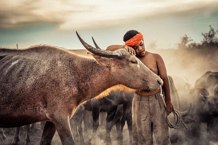 Chú bé mục đồng. (Nguồn: NatGeo)