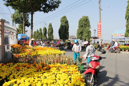 TP Vĩnh Long rộn ràng sắc hoa.