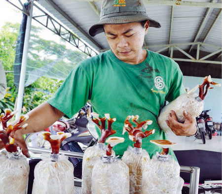 Ứng dụng khoa học kỹ thuật vào sản xuất để nâng cao năng suất, chất lượng và sức cạnh tranh.