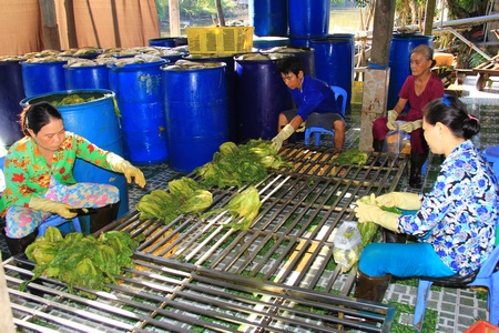 Tỉnh sẽ tập trung thu hút đầu tư, phát triển công nghiệp chế biến, đẩy mạnh thương mại- dịch vụ, góp phần tiêu thụ sản phẩm.