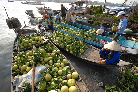 Các phương tiện di chuyển trên chợ nổi chủ yếu là xuồng, ghe chở đầy nông sản.