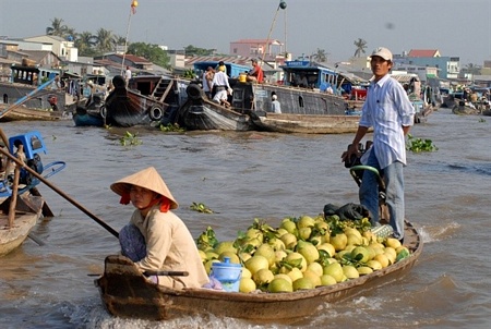 Nhà vườn miền Tây mang trái cây ra chợ bán bằng xuồng ghe tự có trong nhà.