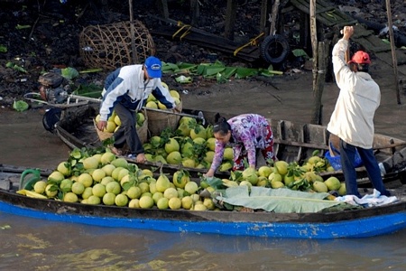  Trao đổi mua bán nông sản giữa bồng bềnh sông nước.