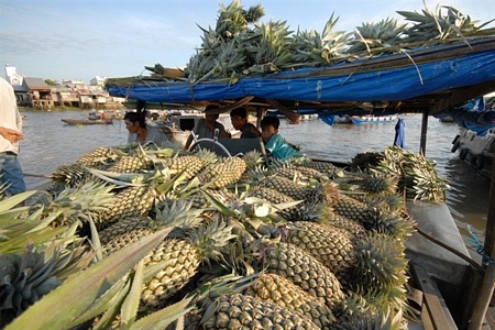 Nhà vườn mang nông sản ra chợ nổi bán, vừa tiện lợi vừa dễ bán.