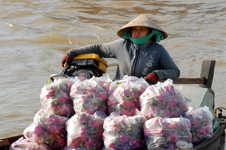 Các thương buôn tất bật hàng hóa mua bán trao đổi để kịp chuyến hàng chở đi bán Tết.