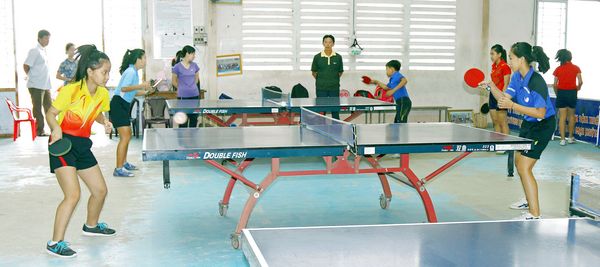 Bóng bàn đã sôi động với những động tác kỹ thuật gò bóng.