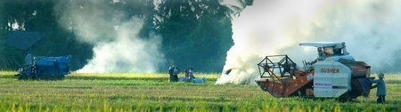 Cần liên kết với các cơ sở đào tạo nước ngoài trong phát triển nguồn nhân lực nông thôn. Ảnh: BÁCH THẢO 