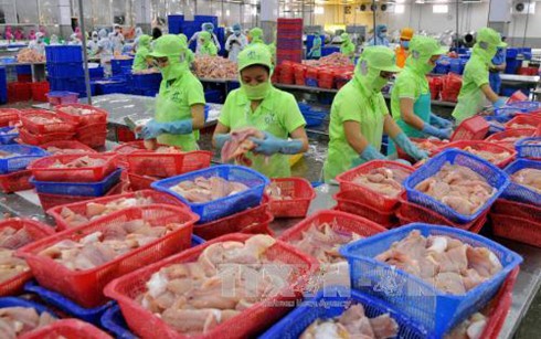 Đã có 104 vụ điều tra chống bán phá giá, chống trợ cấp và tự vệ nhằm vào hàng hóa xuất khẩu Việt Nam. (Ảnh minh họa: TTXVN)
