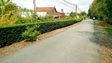 Nông thôn Long Hồ ngày càng đẹp hơn.Ảnh: NGỌC TRẢNG