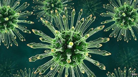 Nhiễm virus: Có 5 loại chính của bệnh viêm gan bị gây nên bởi virus tấn công gan. Trong đó có 3 loại quan trọng nhất là viêm gan A, B và C. Dấu hiệu  khi bị cảm cúm nhẹ: mệt mỏi, chán ăn, buồn nôn, sút cân... Tình trạng xấu hơn có thể là chóng mặt, suy giảm tuần hoàn, nước tiểu sẫm màu...