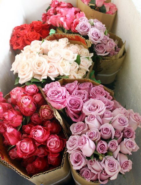  Nhiều màu hoa lạ được ưa chuộng.