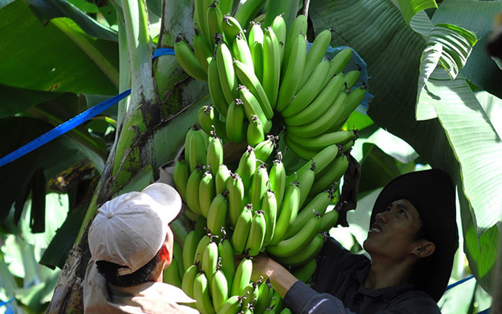 Nhiều đơn vị ở Đồng Nai đã thực hiện chương trình 