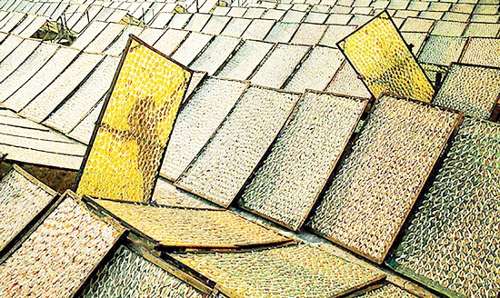 Tác phẩm Đón nắng
