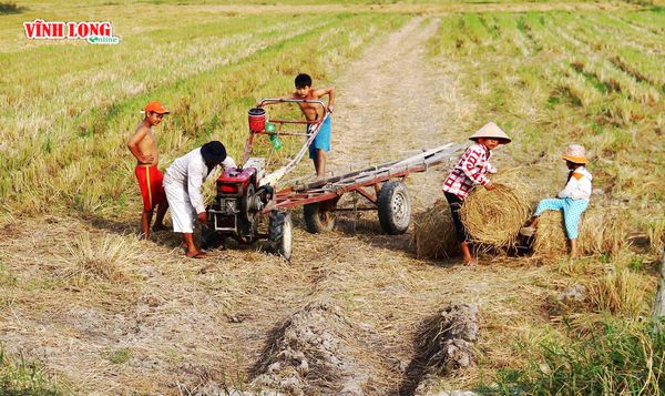 Buổi chiều đi học về là nhất quyết theo cha mẹ ra đồng “tập làm nông dân” thứ thiệt.