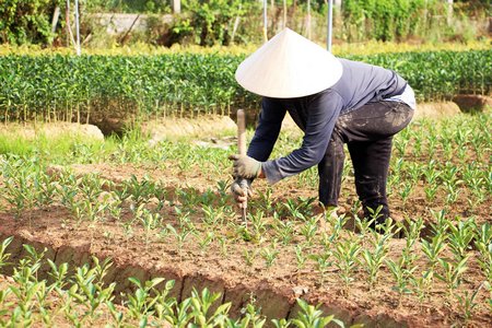 Bà Lê Thị Nhì (ấp Long Huê, xã Long Thới, huyện Chợ Lách- Bến Tre): Mặc dù hiện tại độ mặn vẫn chưa cao nhưng năm nay tôi cũng sẽ thường xuyên đem kiểm tra mẫu nước để an tâm hơn.