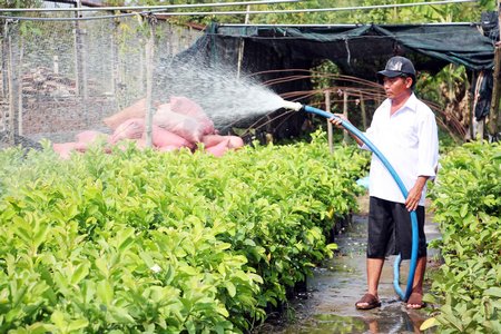 Ông Trần Văn Luyến (ấp Nhơn Phú, xã Hòa Nghĩa, huyện Chợ Lách- Bến Tre): Cần thường xuyên theo dõi thông tin cảnh báo và kiểm tra mẫu nước để đề phòng nước mặn xâm nhập.