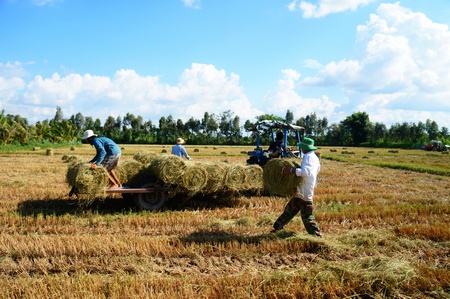 Một số nông dân sẵn sàng đầu máy cuộn rơm để kiếm thêm thu nhập cho gia đình.