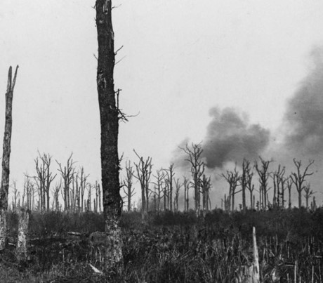 Mametz Wood là mục tiêu của sư đoàn 38 (xứ Wales). Sư đoàn này hứng chịu thương vong là 4.000 người khi chiếm khu rừng này.