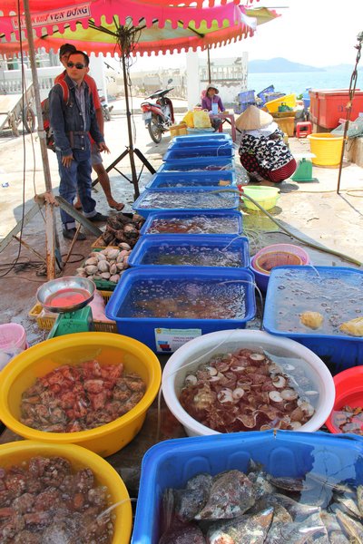 Nguồn hải sản tươi sống phong phú là “thiên đường” ẩm thực làm mềm lòng du khách.