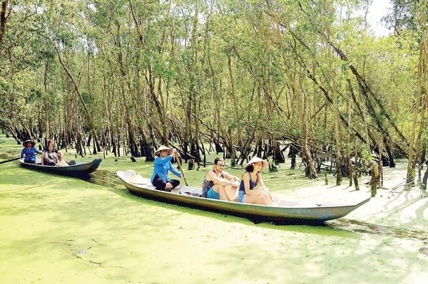 Hàng năm, rừng tràm Trà Sư đón hàng ngàn lượt khách du lịch trong nước và quốc tế đến tham quan, trải nghiệm