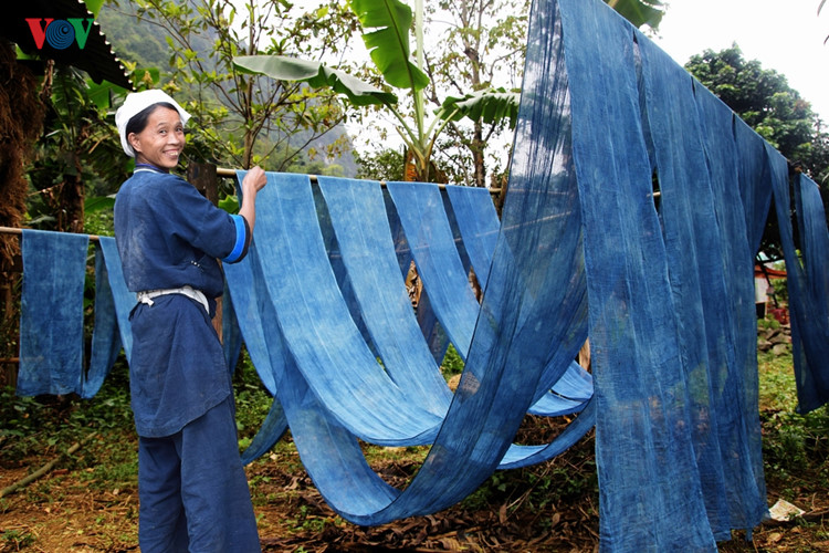 Phơi chàm (xã Phúc Sen, huyện Quảng Uyên, tỉnh Cao Bằng).