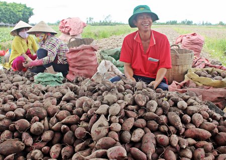 Từ phong trào thi đua, nhiều nông dân tiếp thu và ứng dụng khoa học kỹ thuật vào sản xuất, vượt qua thử thách, vươn lên làm giàu.