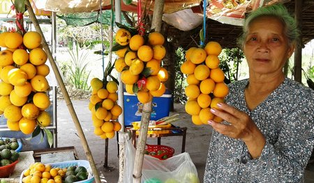 Thanh trà bày bán dọc QL54.