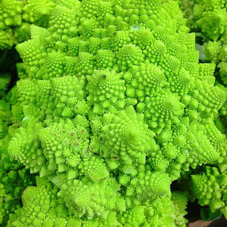 Romanesco là loại súp lơ hình xoắn ốc. Romanesco còn được gọi là súp lơ san hô. Đây là một trong những loại rau tuyệt vời cho sức khỏe giúp cải thiện thị lực, tăng cường hệ miễn dịch