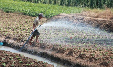 Lĩnh vực nông nghiệp, xây dựng nông thôn mới hiện đang rất “khát” các nghiên cứu KH-CN đáp ứng nhu cầu sản xuất (ảnh minh họa).