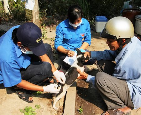 Người dân tích cực hưởng ứng việc tiêm phòng gia súc, gia cầm.