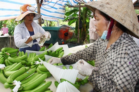 Nguồn vốn tín dụng ngân hàng đã góp phần thúc đẩy phát triển lĩnh vực nông nghiệp nông thôn.