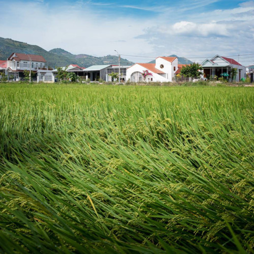 Nằm tại thành phố biển Nha Trang, ngôi nhà mái ngói với thiết kế vô cùng đặc biệt luôn gây sự chú ý đặc biệt cho người qua đường.