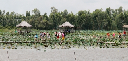 Không gian bát ngát ở làng sen