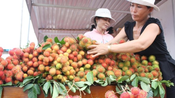 Giá chôm chôm ở ĐBSCL tăng cao, nhưng sản lượng khan hiếm