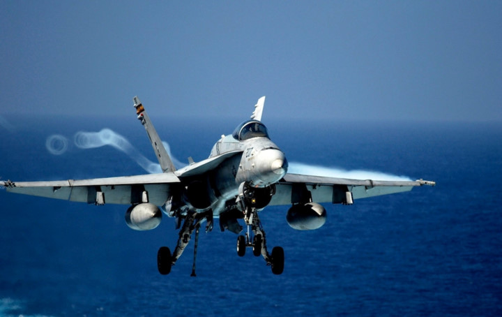 F/A-18 Hornet là chiến đấu cơ siêu thanh đa mục tiêu được phát triển để tiêu diệt cả tiêm kích và chiến đấu cơ của địch. 