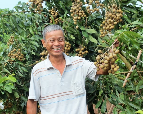 Ông Võ Văn Hùng phấn khởi bởi được mùa nhà Edor.