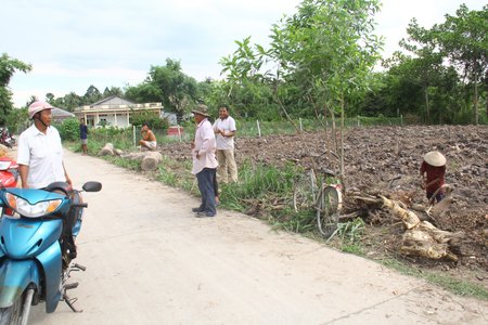 Ông Sơn Mỹ Duyên (trái) cùng bà con đốn cây chuẩn bị lên liếp trồng cam.