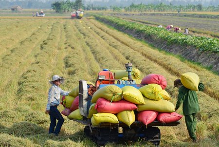 Khoa học và công nghệ đang từng bước xây dựng các mô hình ứng dụng khoa học và công nghệ vào nông nghiệp- nông thôn, xây dựng nông thôn mới, góp phần nâng cao đời sống nhân dân.Ảnh: VINH HIỂN